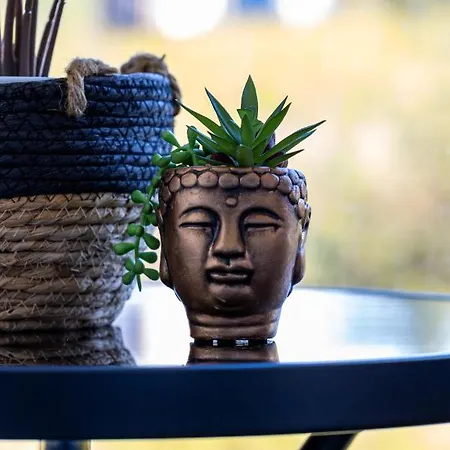 Vip Wieniawskiego Apartamento Rzeszów