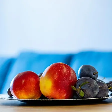 شقة Vip Wieniawskiego