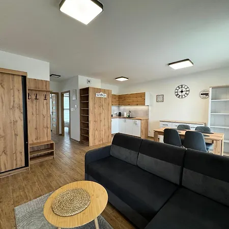 Vip Wieniawskiego Apartamento *