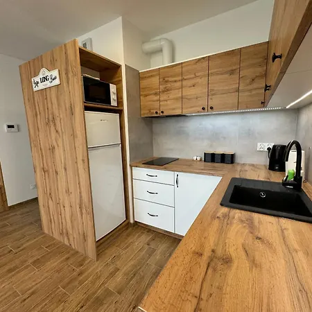 Apartamento Vip Wieniawskiego Rzeszów