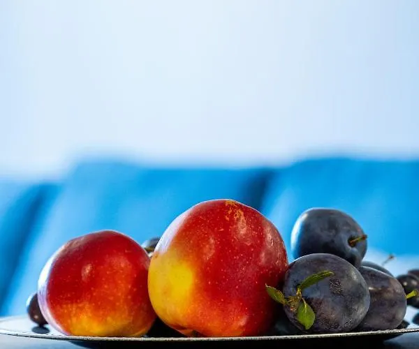 Apartman Vip Wieniawskiego