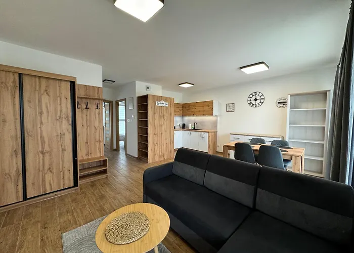 Vip Wieniawskiego Apartman *